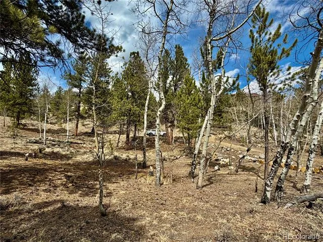142 La Plata Peak Drive Twin Lakes, CO 81251