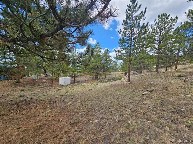 142 La Plata Peak Drive Twin Lakes, CO 81251