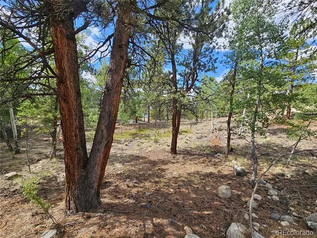 142 La Plata Peak Drive Twin Lakes, CO 81251