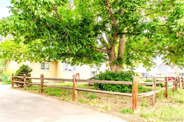 4373 Moore Street Wheat Ridge, CO 80033
