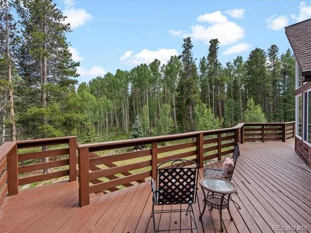 591 Creekwood Trail Black Hawk, CO 80422