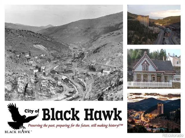 591 Creekwood Trail Black Hawk, CO 80422