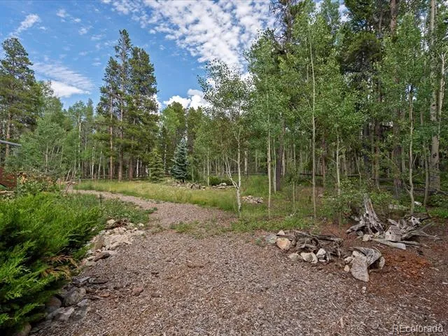 591 Creekwood Trail Black Hawk, CO 80422
