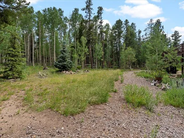 591 Creekwood Trail Black Hawk, CO 80422