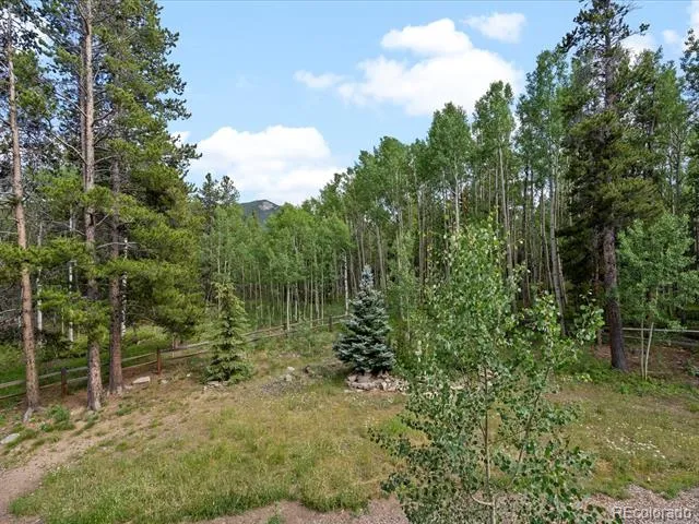 591 Creekwood Trail Black Hawk, CO 80422