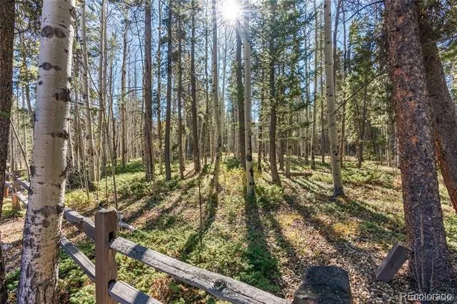 591 Creekwood Trail Black Hawk, CO 80422
