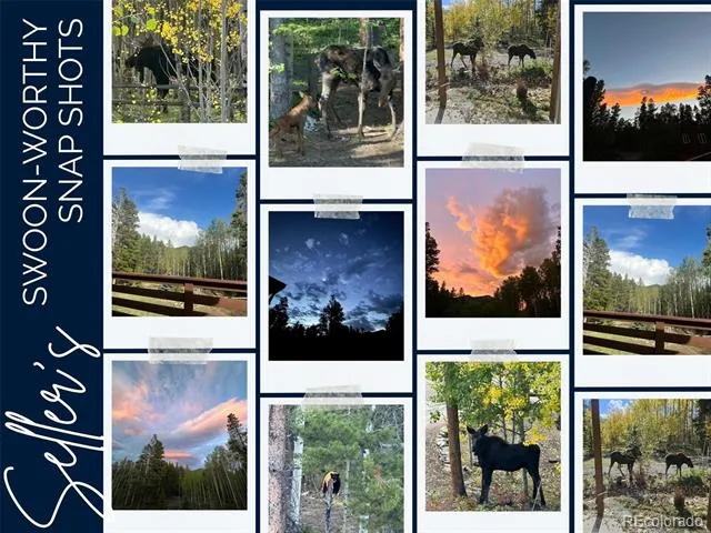 591 Creekwood Trail Black Hawk, CO 80422