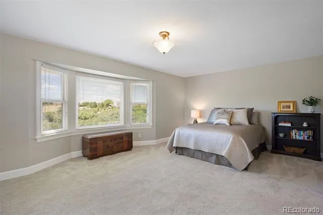 390 Suffolk Lane Castle Rock, CO 80108