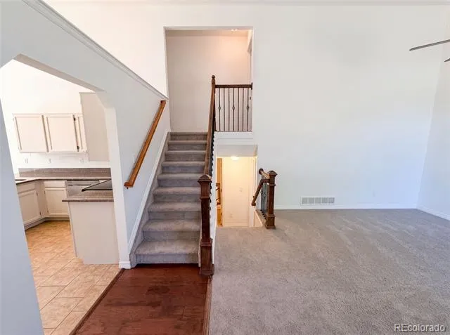 4408 Ashcroft Avenue Castle Rock, CO 80104
