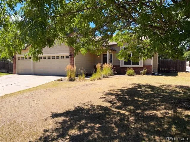 4408 Ashcroft Avenue Castle Rock, CO 80104