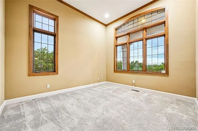 3366 Red Tree Place Castle Rock, CO 80104