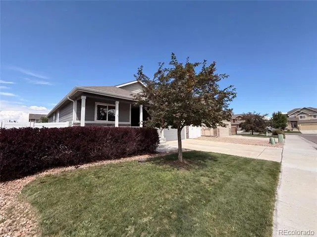 1542 Water Vista Lane Windsor, CO 80550