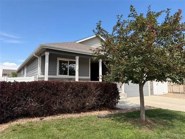1542 Water Vista Lane Windsor, CO 80550