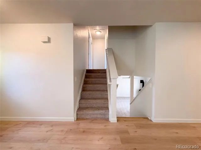 2924 Bow Line Place Longmont, CO 80503