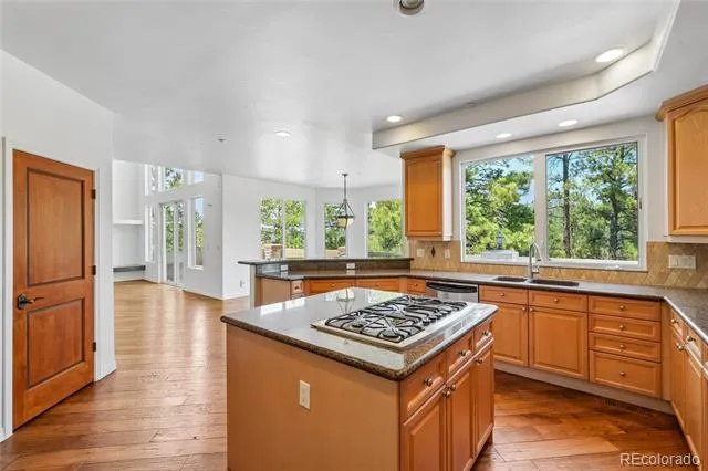 4730 Tierra Alta Drive Castle Rock, CO 80104