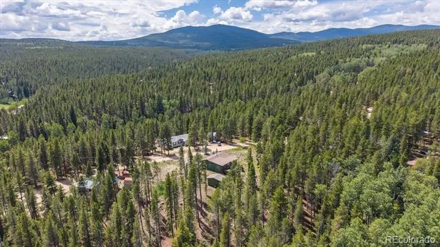 83 Ridge Way Black Hawk, CO 80422