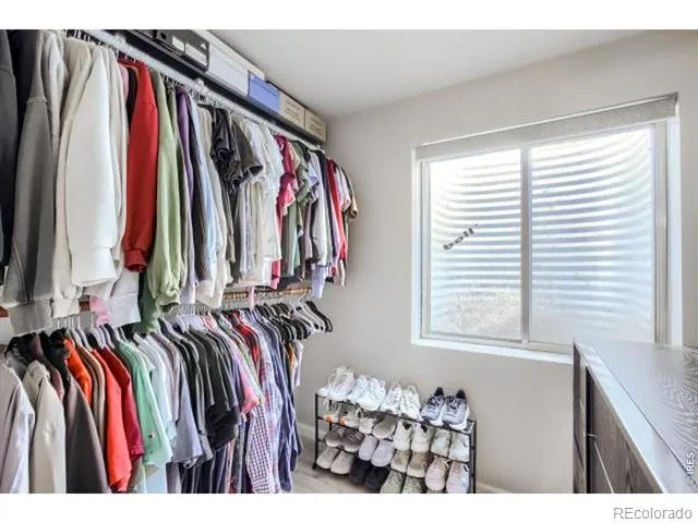 4170 Hayes Circle Wellington, CO 80549