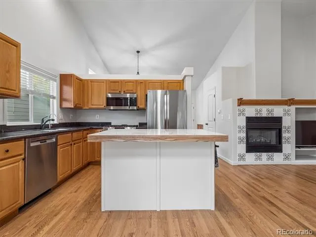 9669 Sydney Lane Highlands Ranch, CO 80130