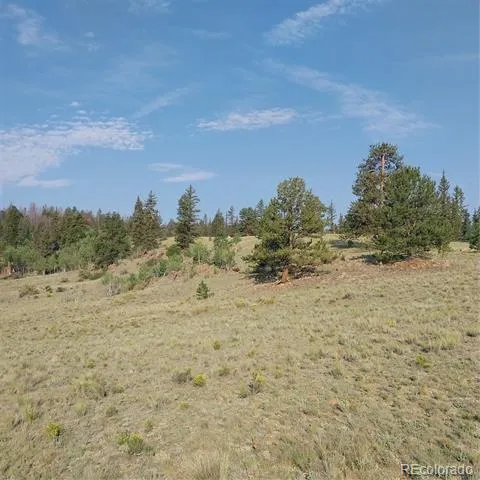1167 Latigo Loop Hartsel, CO 80449
