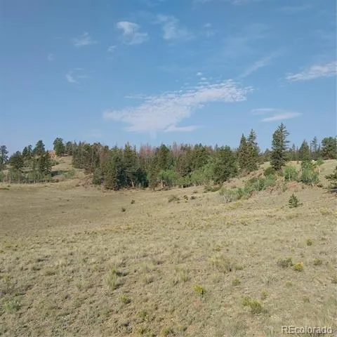 1167 Latigo Loop Hartsel, CO 80449
