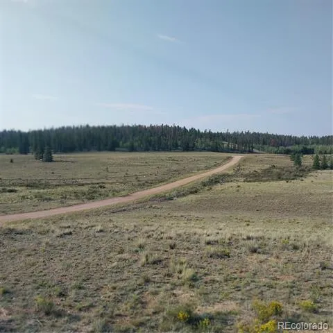 1167 Latigo Loop Hartsel, CO 80449