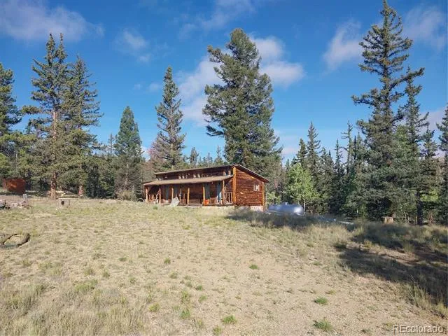 1167 Latigo Loop Hartsel, CO 80449
