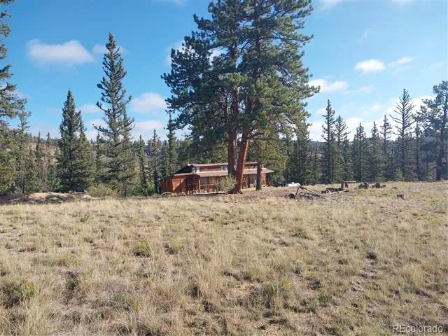 1167 Latigo Loop Hartsel, CO 80449