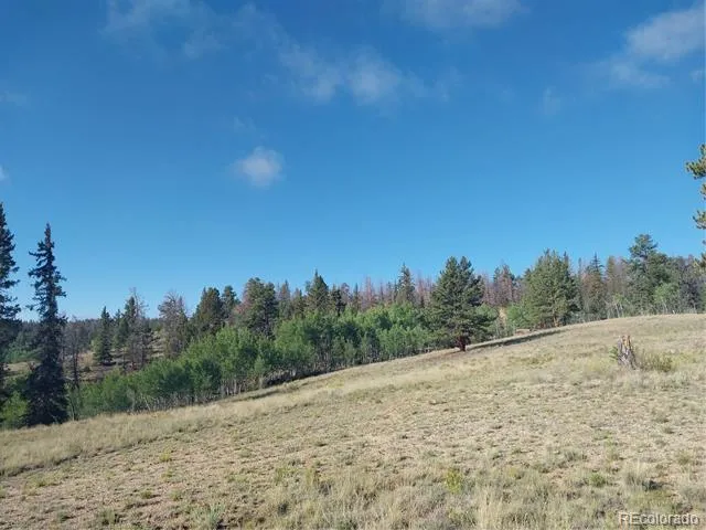1167 Latigo Loop Hartsel, CO 80449