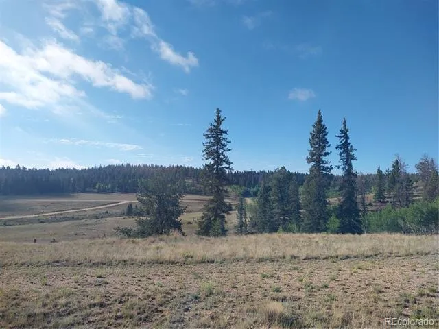 1167 Latigo Loop Hartsel, CO 80449