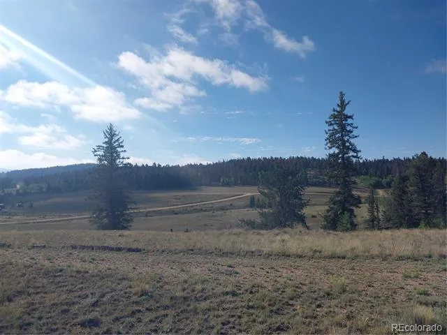 1167 Latigo Loop Hartsel, CO 80449