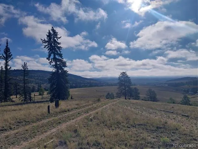 1167 Latigo Loop Hartsel, CO 80449