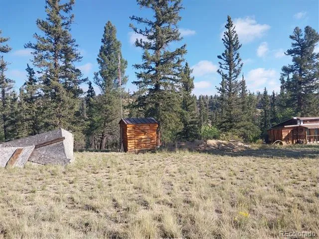 1167 Latigo Loop Hartsel, CO 80449