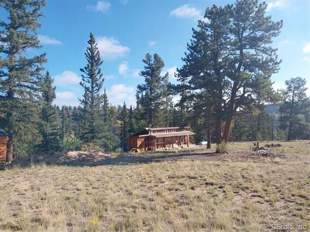 1167 Latigo Loop Hartsel, CO 80449