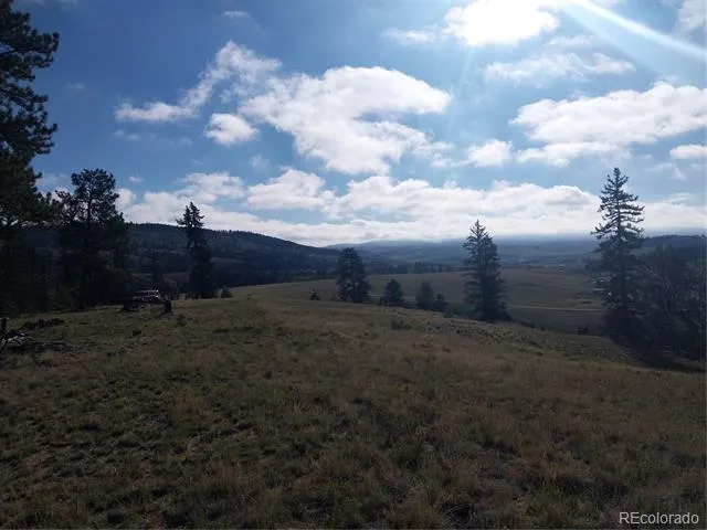 1167 Latigo Loop Hartsel, CO 80449