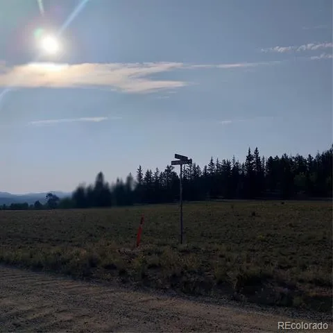 1167 Latigo Loop Hartsel, CO 80449