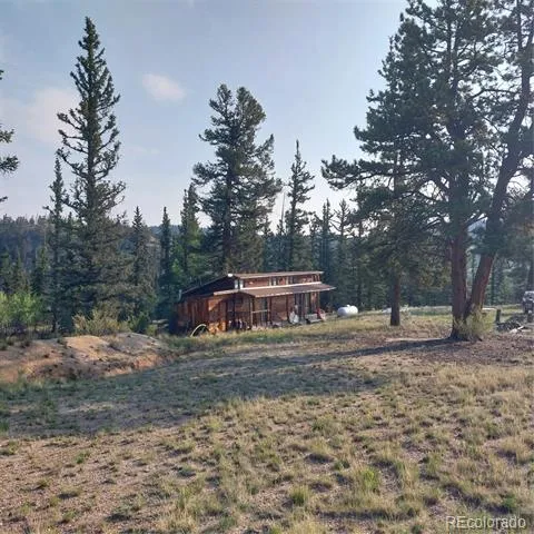 1167 Latigo Loop Hartsel, CO 80449