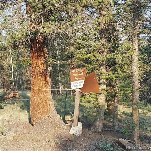 1167 Latigo Loop Hartsel, CO 80449