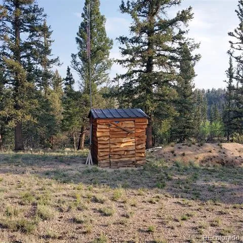 1167 Latigo Loop Hartsel, CO 80449