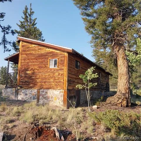 1167 Latigo Loop Hartsel, CO 80449