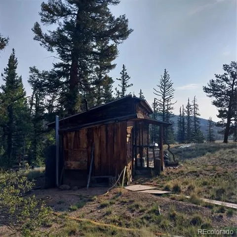 1167 Latigo Loop Hartsel, CO 80449