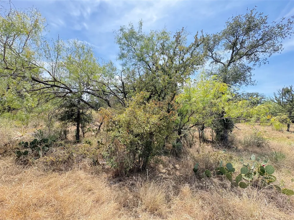 387 Rosehill Drive Granite Shoals, TX 78654