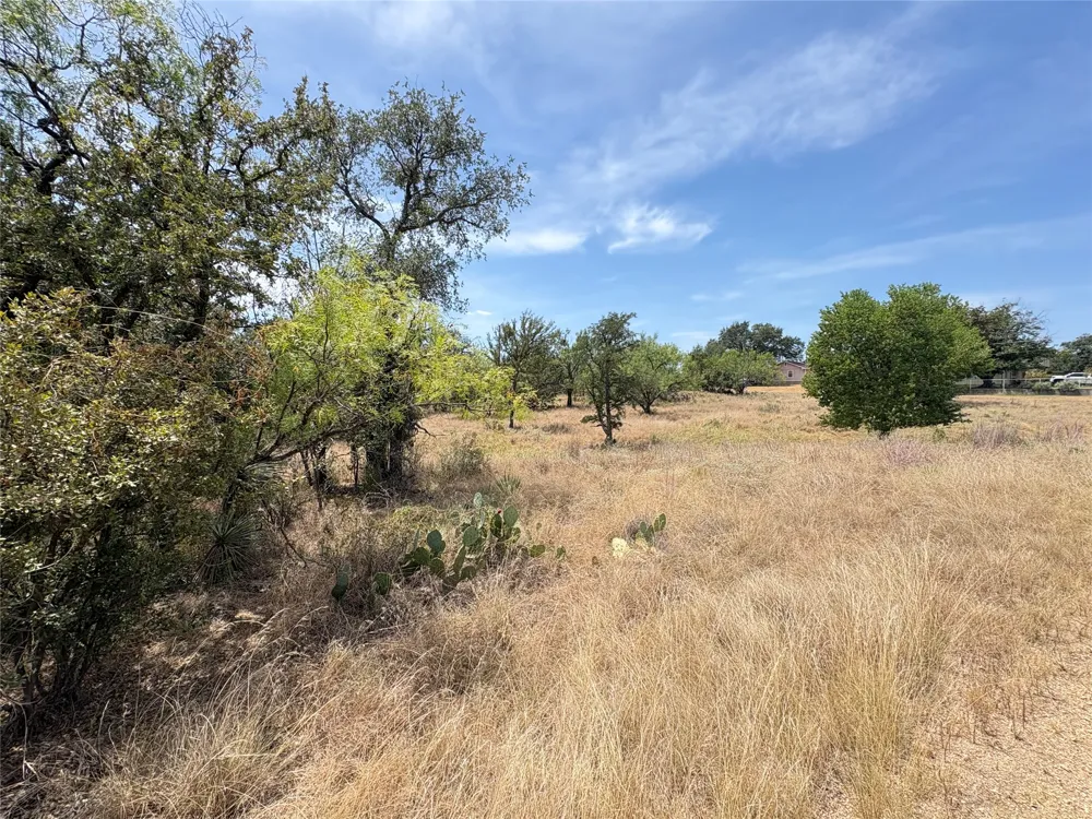 387 Rosehill Drive Granite Shoals, TX 78654