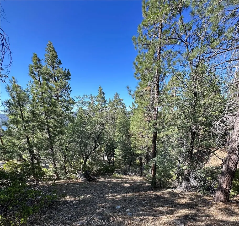 41089 Maryland Road Big Bear Lake, CA 92315