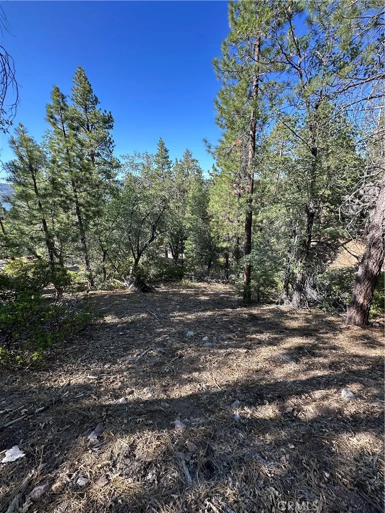 41089 Maryland Road Big Bear Lake, CA 92315