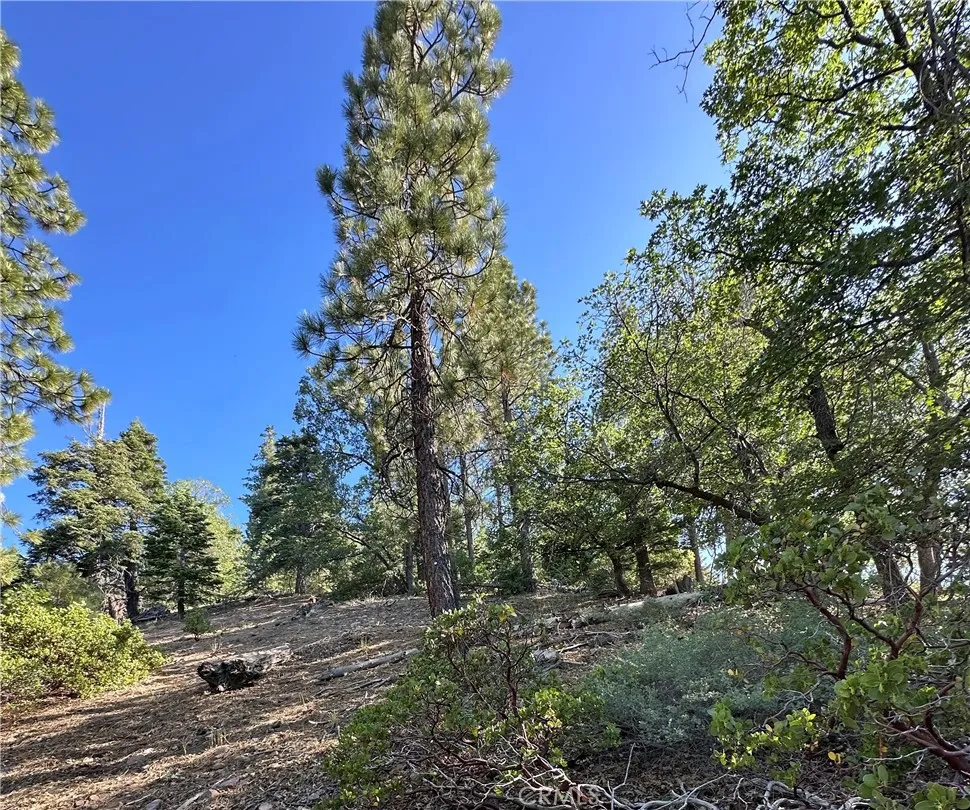 41089 Maryland Road Big Bear Lake, CA 92315