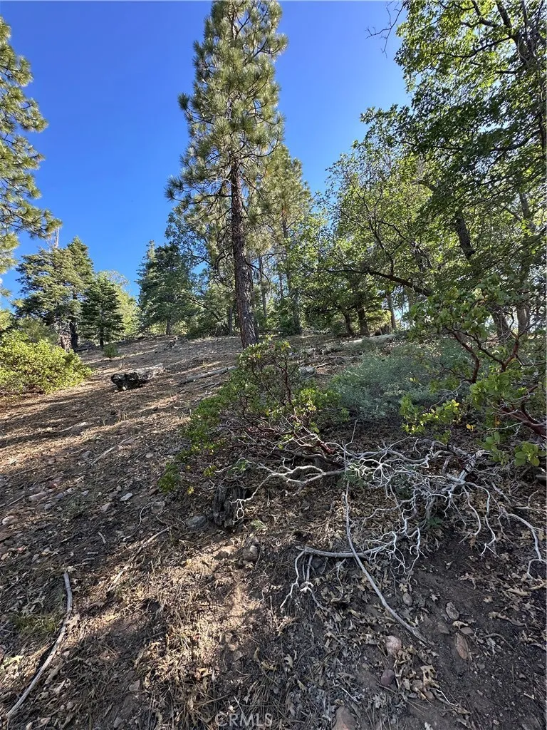 41089 Maryland Road Big Bear Lake, CA 92315