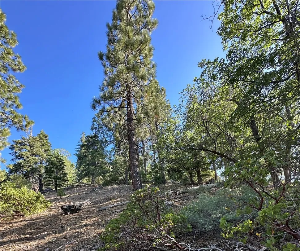 41089 Maryland Road Big Bear Lake, CA 92315