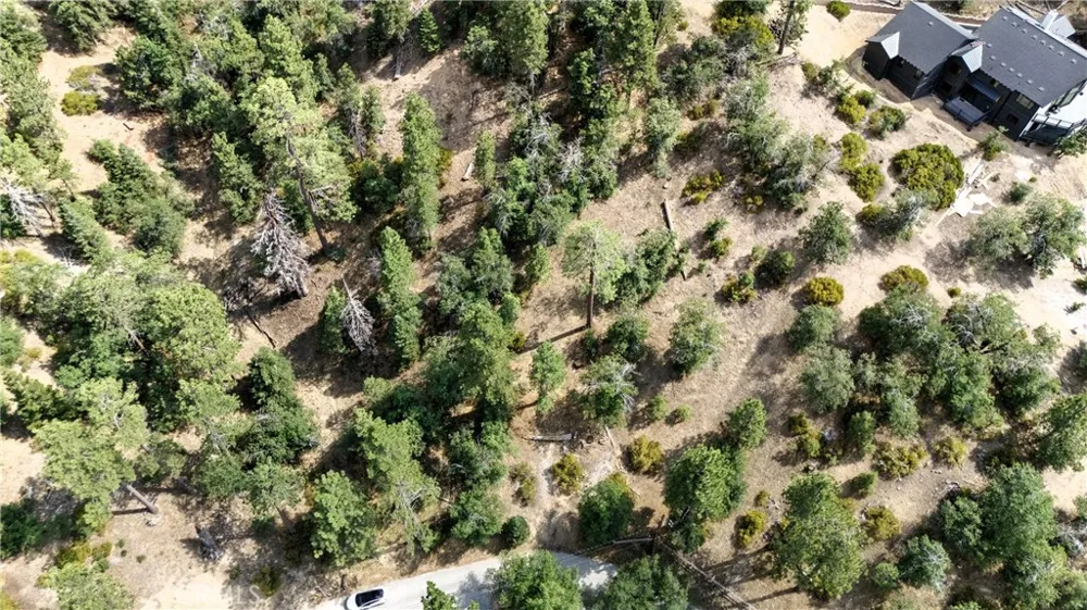 41089 Maryland Road Big Bear Lake, CA 92315