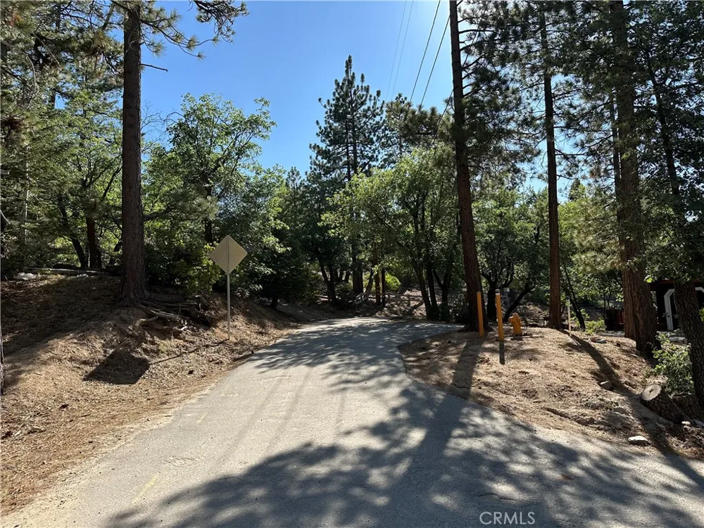41089 Maryland Road Big Bear Lake, CA 92315