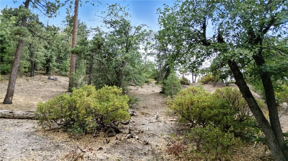 41089 Maryland Road Big Bear Lake, CA 92315